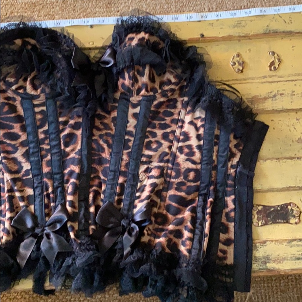 TRASHY LINGERIE LA BRAND BODYCON LEOPARD PRINT BUSTIER CORSET PUSH UP BRA 32C - Picture 12 of 15